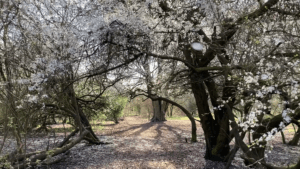 The perfect wedding venue